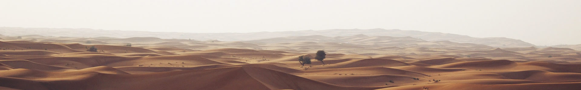 һˣݣƷƹ޹˾